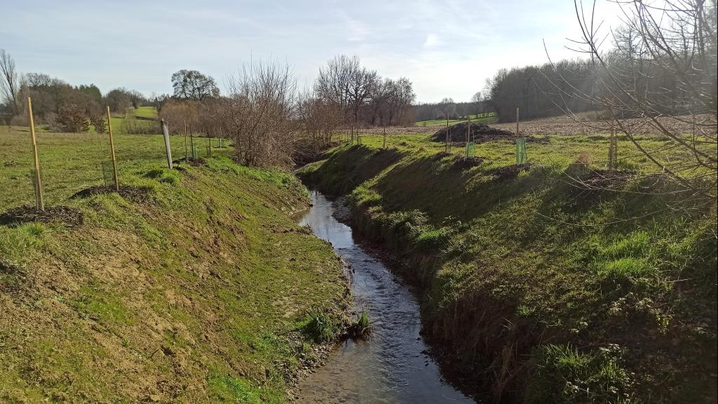 Photo de la Sausse à Gauré après travaux de renaturation en 2023